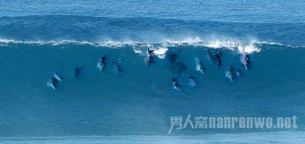 2021年旧村改造出嫁女离婚签会娘家有分红分屋吗？游戏画面